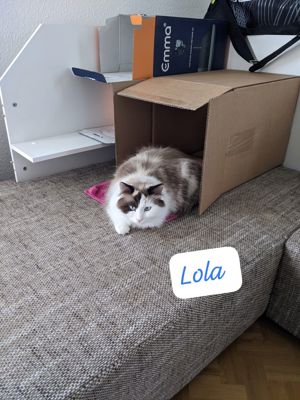 Lola und Pinky Bild 10