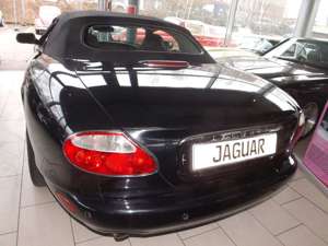 Jaguar XK8 Cabriolet-der elegante schwarze Kater! Bild 5
