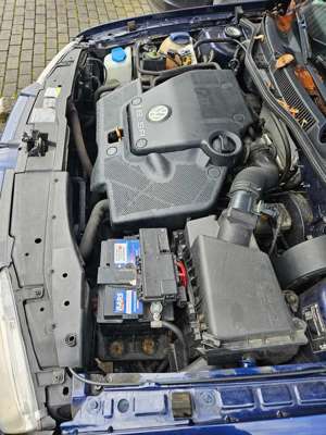 Volkswagen Bora Bora 1.6 Trendline Bild 3
