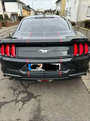 Ford Mustang Fastback 2.3 Eco Boost (Shelby Kit) Bild 4