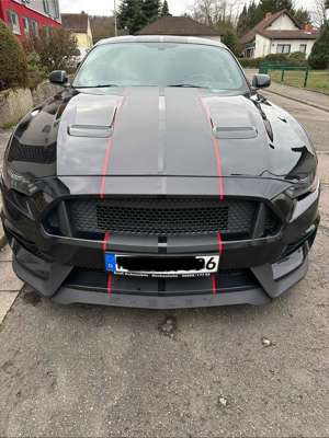 Ford Mustang Fastback 2.3 Eco Boost (Shelby Kit) Bild 3