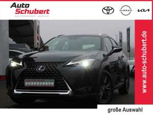 Lexus UX 250h LAUNCH+ALLWETTERREIFEN+NAVI+LED+APPLECAR+KAMERA+LE