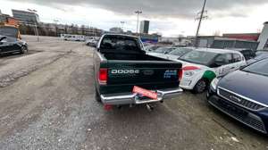 Dodge Dakota V 8,AHK,LKW Zulasung,Klima,Festpreis !! Bild 4
