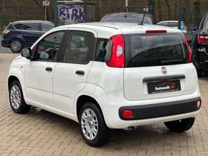 Fiat Panda Easy Nur 4500 Km Stand / Klimaanlage Bild 7