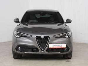 Alfa Romeo Stelvio 2.2 JTDM AT8 Q4 Executive *Assist.pak. * 20 Zoll* Bild 2