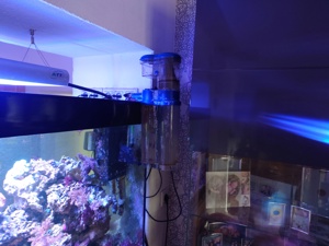 Meerwasseraquarium 500 liter Bild 2