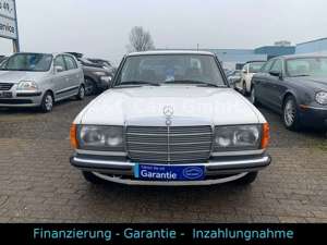 Mercedes-Benz 230 E - W123 - Automat./S-Dach-Rostfrei/H Kenn Bild 2