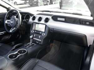 Ford Mustang Cabrio GT V8 Leder+NAVI+Klimasitze Klima Xenon Bild 5