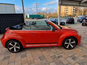 Volkswagen Beetle Cabriolet Club+Klima+Navi+Sitzh.+PTS+18"+ Bild 4