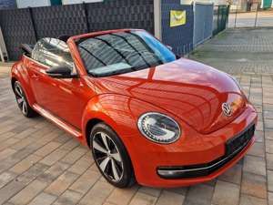 Volkswagen Beetle Cabriolet Club+Klima+Navi+Sitzh.+PTS+18"+ Bild 3