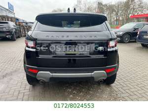 Land Rover Range Rover Evoque Evoque TD4 SE NAVI PANO LEDER KAM 1.HAND!! Bild 5