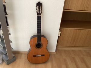 Ibanez Gitarre Akustik braun mit schwarzer Tasche Bild 1
