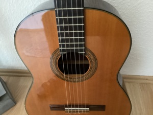 Ibanez Gitarre Akustik braun mit schwarzer Tasche Bild 3