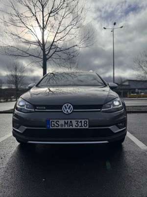 Volkswagen Golf Alltrack Bild 3