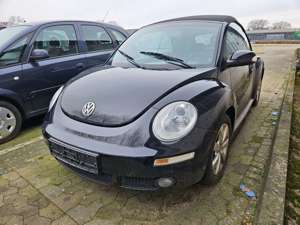 Volkswagen New Beetle Cabriolet 1.6 Bild 2