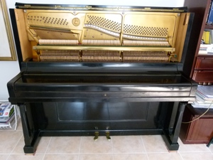 Pianistin in Rente verkauft Ihr Feurich  Klavier .Wunderschöne Klang  wie ein Flügel.  Bild 2