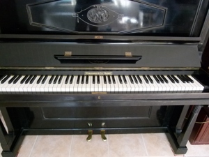 Pianistin in Rente verkauft Ihr Feurich  Klavier .Wunderschöne Klang  wie ein Flügel.  Bild 5
