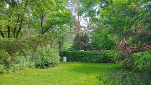 Wochenendgrundstück in Ferch  Garten Grundstück  Gartengrundstück Eigentum  Erholungsgrundstück  Bild 5