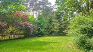 Wochenendgrundstück in Ferch  Garten Grundstück  Gartengrundstück Eigentum  Erholungsgrundstück  Bild 1