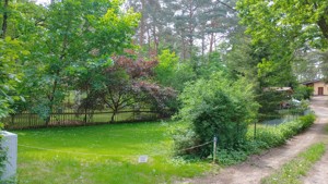Wochenendgrundstück in Ferch  Garten Grundstück  Gartengrundstück Eigentum  Erholungsgrundstück  Bild 6