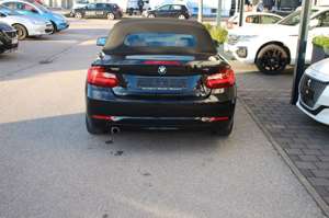 BMW 218 d  2 Cabrio  Advantage WR Inspektion neu Bild 5