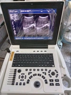Veterinär-Ultraschallscanner Bild 2
