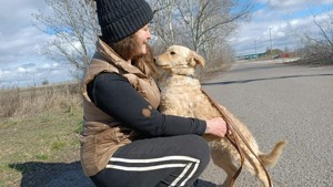 Raffi, aktives Hundekind, ca. 4 Monate, ca. 41 cm, ca. 10kg Bild 7