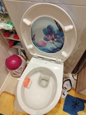 Suche einen Toiletten Installateur  Bild 3