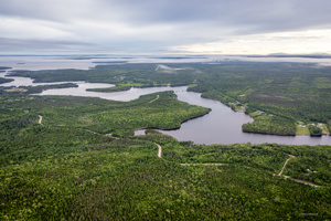 Schönes bewaldetes Grundstück in Kanada, Nova Scotia zu verkaufen Bild 5