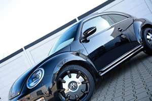 Volkswagen Beetle Sport DSG Pan.Dach Xenon FenderSound Navi Bild 2