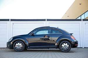 Volkswagen Beetle Sport DSG Pan.Dach Xenon FenderSound Navi Bild 4
