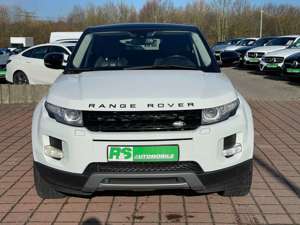 Land Rover Range Rover Evoque Panorama 4x4 Bild 2