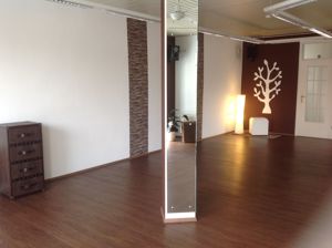 Raum für Yoga, Fitness und sonstige Kurse in Griesheim stundenweise zu vermieten Bild 4