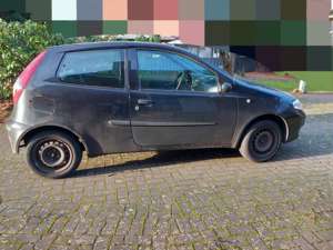 Fiat Punto Punto 1.2 8V Bild 5