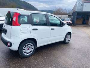 Fiat Panda 1.2 Easy Klima EU6b Kd-Neu Garantie Bild 5