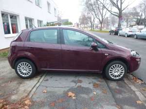 Fiat Punto More 5 Türig Klima Start-Stop HAGEL Bild 4