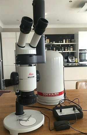 Leica Mikroskop Wild M8 mit Fototubus HU 404891 für M-Serie+PCL300 Standard Bild 3