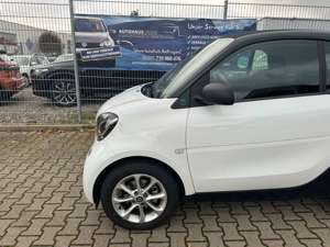 smart forTwo Fortwo coupe electric drive / EQ Bild 3