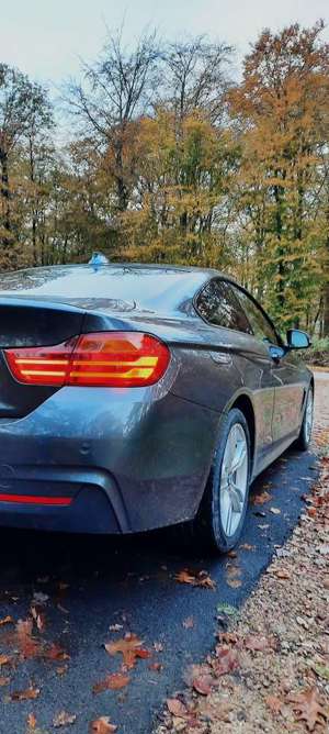BMW 420 420d Coupe xDrive Sport-Aut. M Sport Bild 4