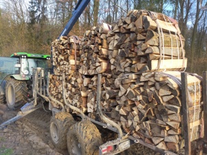 Brennholz Kaminholz Bündel Ster, Buche, Eiche, Esche Fichte
