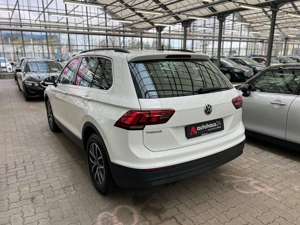 Volkswagen Tiguan 2.0TDI Comfortline DSG Navi|ParkP|Sitzhzg Bild 4