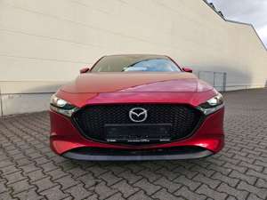 Mazda 3 Lim. Selection | Automatik| ACC | HUD | Navi | Sit Bild 3