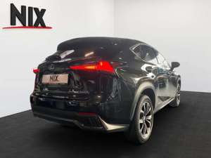 Lexus NX 300h E-FOUR F SPORT NAVI 360°KAMERA HEAD-UP-DISPLAY Bild 4