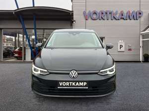 Volkswagen Golf VIII Lim. United 1.5 TSI LED-Plus + ACC Bild 3