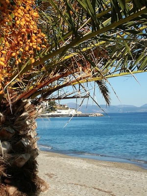 Privat Ferienwohnung in Griechenland 140m zum Strand ggf. mit Motor-Boot (30PS)führerscheinfrei Bild 4
