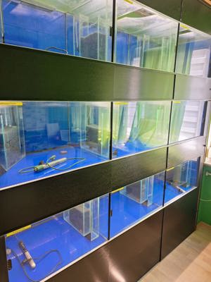 Aquarium  Zucht Anlage "komplett oder einzeln" Bild 5