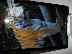 Samsung Tablet A7 (SM-T500) Bild 5