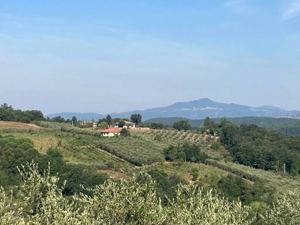 Toscana, 2 Winzerhütten zus.50 qm, 2,6 ha Land, zu verkaufen, 110.000,- , Strom-fl.Wasser... Bild 5