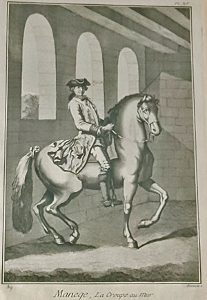 Kupferstich Pferd Reiten Soldat Uniform antik Grafik Bild Edeldruck 19. Jh. Reiter Unifor Bild 9