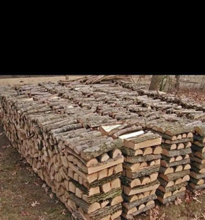 Ab sofort verfügbar, trockenes Brennholz. Bild 2